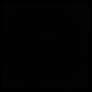 Meet your Posher, Daisy